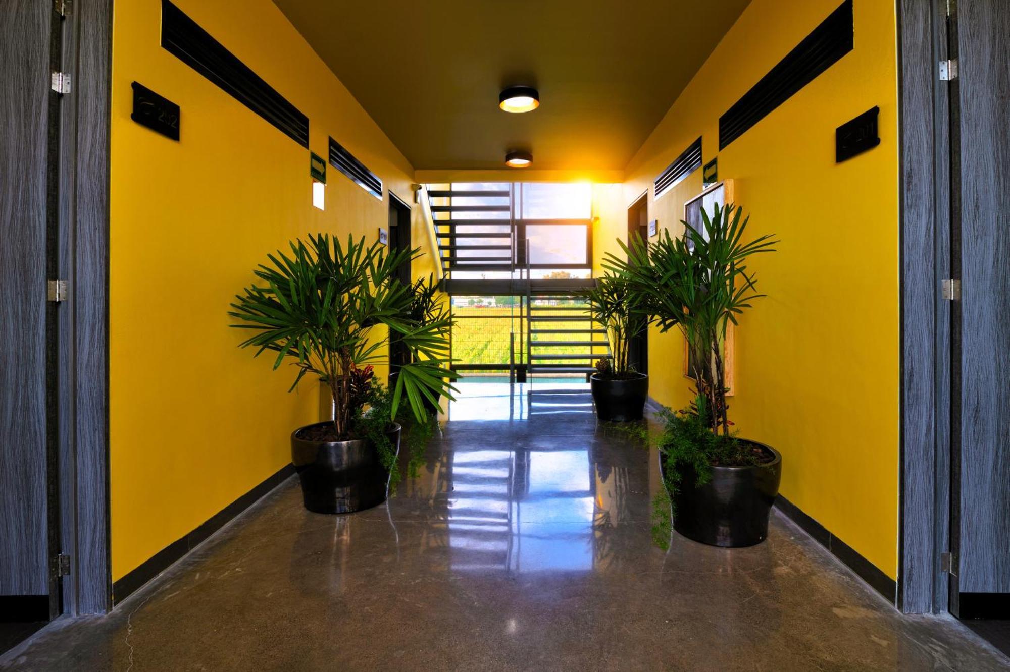 Arboleda 5 Luxury Lofts Aparthotel Silao Bagian luar foto